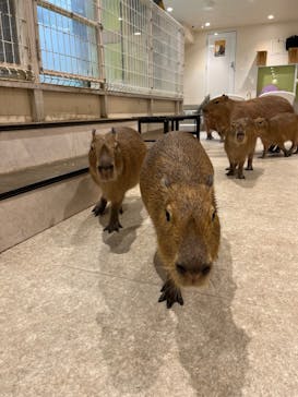 アニタッチ 東京ドームシティに投稿された画像（2025/10/31）