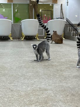 アニタッチ 東京ドームシティに投稿された画像（2025/10/31）