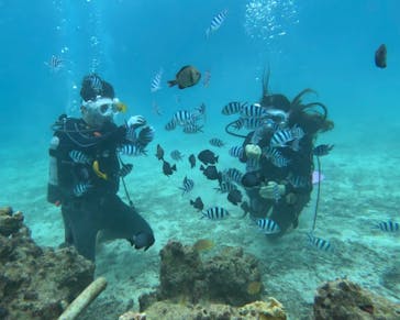 青の洞窟専門店　沖縄ダイビングショップ和に投稿された画像（2025/10/31）