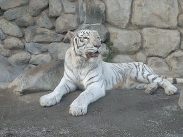 東武動物公園に投稿された画像（2025/10/31）