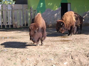 東武動物公園に投稿された画像（2025/10/31）