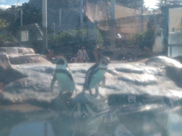 東武動物公園に投稿された画像（2025/10/31）
