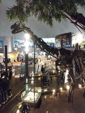 福井県立恐竜博物館に投稿された画像（2025/10/31）