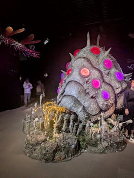 金曜ロードショーとジブリ展（静岡展）に投稿された画像（2025/10/31）