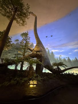 福井県立恐竜博物館に投稿された画像（2025/10/31）