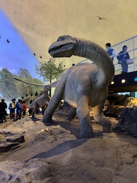 福井県立恐竜博物館に投稿された画像（2025/10/31）