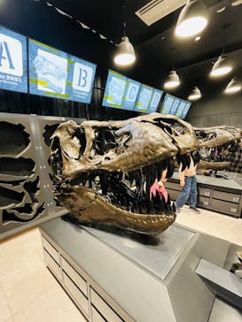 福井県立恐竜博物館に投稿された画像（2025/10/31）