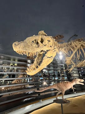 福井県立恐竜博物館に投稿された画像（2025/10/31）