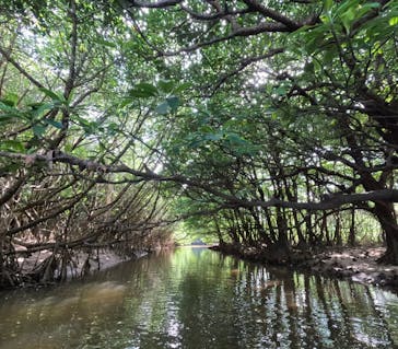 石垣島 ADVENTURE PiPi（イシガキジマアドベンチャーピピ）に投稿された画像（2025/10/31）