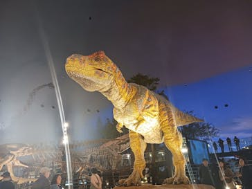福井県立恐竜博物館に投稿された画像（2025/10/31）
