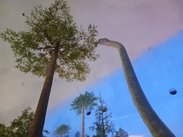 福井県立恐竜博物館に投稿された画像（2025/10/31）