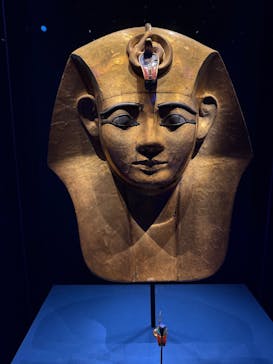 ACN ラムセス大王展 ファラオたちの黄金に投稿された画像（2025/10/31）