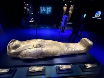 ACN ラムセス大王展 ファラオたちの黄金に投稿された画像（2025/10/31）