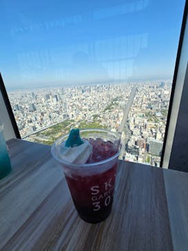 ハルカス300(展望台)に投稿された画像（2025/10/31）