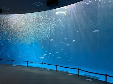名古屋港水族館に投稿された画像（2025/10/31）
