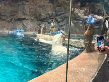 名古屋港水族館に投稿された画像（2025/10/31）