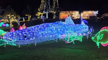 美らヤシパークオキナワ・東南植物楽園に投稿された画像（2025/10/31）