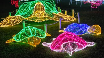 美らヤシパークオキナワ・東南植物楽園に投稿された画像（2025/10/31）