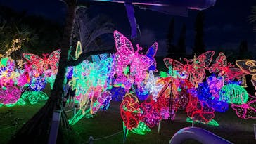 美らヤシパークオキナワ・東南植物楽園に投稿された画像（2025/10/31）