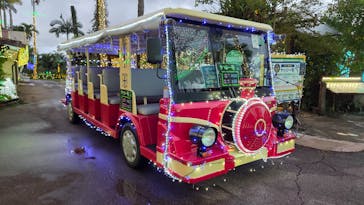 美らヤシパークオキナワ・東南植物楽園に投稿された画像（2025/10/31）