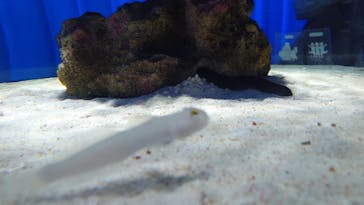 NIFREL（ニフレル）に投稿された画像（2025/10/31）