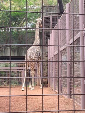 恩賜上野動物園に投稿された画像（2025/10/31）