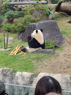 恩賜上野動物園に投稿された画像（2025/10/31）