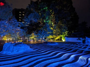 博多ライトアップウォーク実行委員会に投稿された画像（2025/10/31）