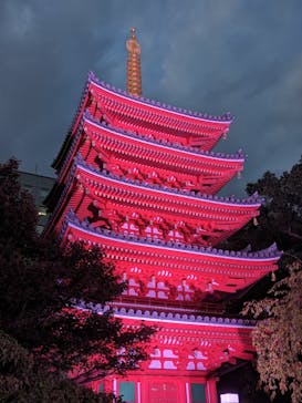 博多ライトアップウォーク実行委員会に投稿された画像（2025/10/31）