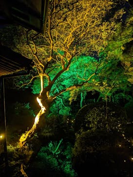 博多ライトアップウォーク実行委員会に投稿された画像（2025/10/31）