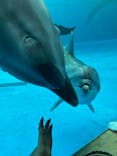 アクアワールド茨城県大洗水族館に投稿された画像（2025/10/31）