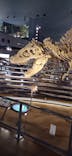 福井県立恐竜博物館に投稿された画像（2025/10/31）