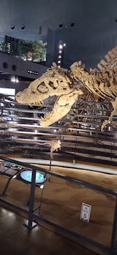 福井県立恐竜博物館に投稿された画像（2025/10/31）
