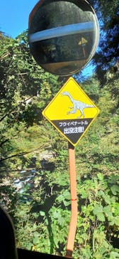 福井県立恐竜博物館に投稿された画像（2025/10/31）