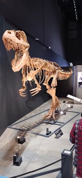 福井県立恐竜博物館に投稿された画像（2025/10/31）