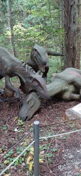 福井県立恐竜博物館に投稿された画像（2025/10/31）