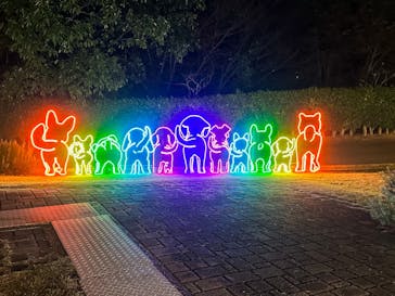 神戸イルミナージュに投稿された画像（2025/10/31）