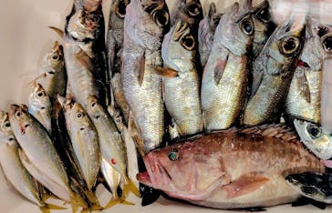 第三新生合同丸に投稿された画像（2025/10/31）