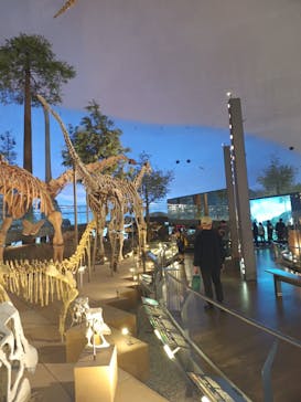 福井県立恐竜博物館に投稿された画像（2025/10/31）