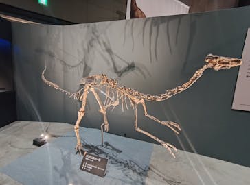 福井県立恐竜博物館に投稿された画像（2025/10/31）