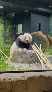 恩賜上野動物園に投稿された画像（2025/10/31）
