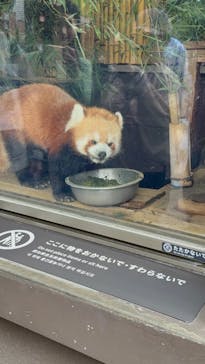 恩賜上野動物園に投稿された画像（2025/10/31）