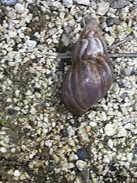 Nami宮古島に投稿された画像（2025/10/31）