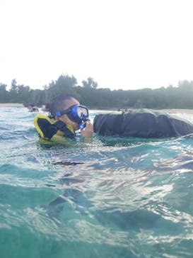 沖縄マリンサービス碧に投稿された画像（2025/11/1）