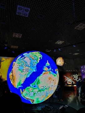 特別展「大絶滅展―生命史のビッグファイブ」に投稿された画像（2025/11/1）