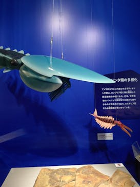 特別展「大絶滅展―生命史のビッグファイブ」に投稿された画像（2025/11/1）