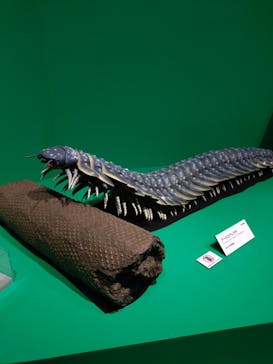 特別展「大絶滅展―生命史のビッグファイブ」に投稿された画像（2025/11/1）