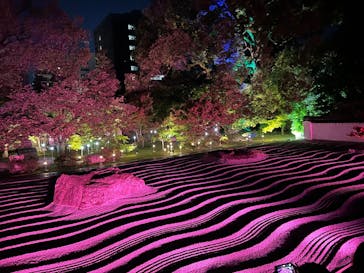 博多ライトアップウォーク実行委員会に投稿された画像（2025/11/1）