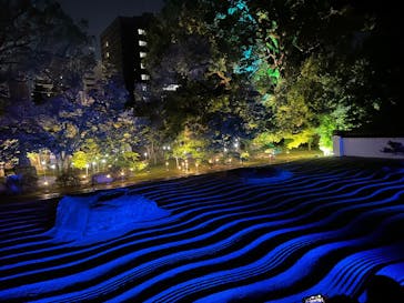 博多ライトアップウォーク実行委員会に投稿された画像（2025/11/1）