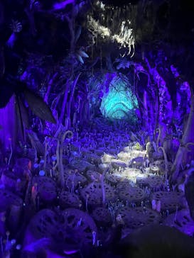 金曜ロードショーとジブリ展（静岡展）に投稿された画像（2025/11/1）